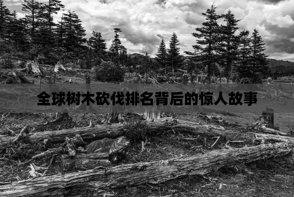 全球树木砍伐排名背后的惊人故事