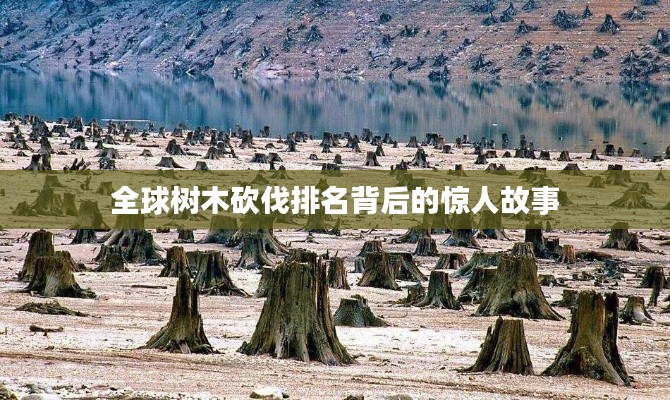 全球树木砍伐排名背后的惊人故事