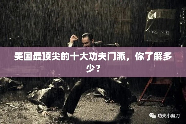 美国最顶尖的十大功夫门派,你了解多少?