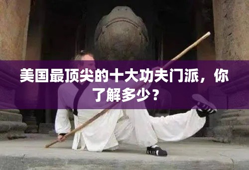 美国最顶尖的十大功夫门派,你了解多少?