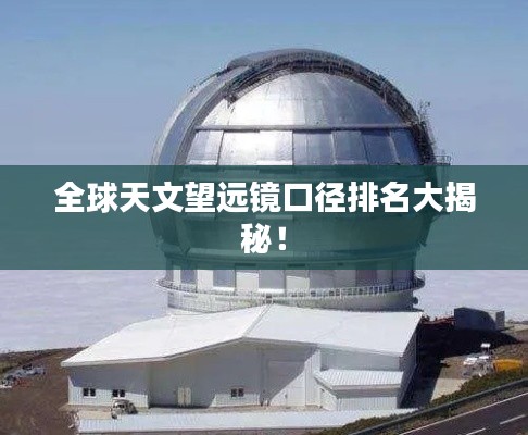 敷衍了事 第4页