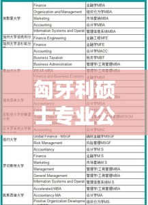 匈牙利硕士专业公司排名揭秘,影响力与选择指南