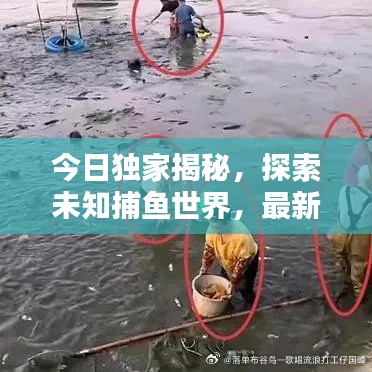 今日独家揭秘,探索未知捕鱼世界,最新抓鱼视频消息一网打尽!