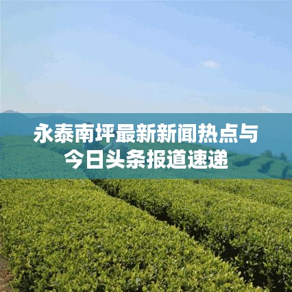 永泰南坪最新新闻热点与今日头条报道速递