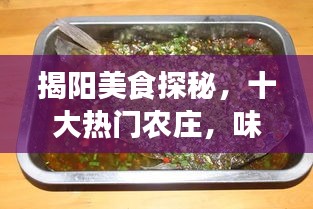 揭阳美食探秘,十大热门农庄,味蕾之旅开启!