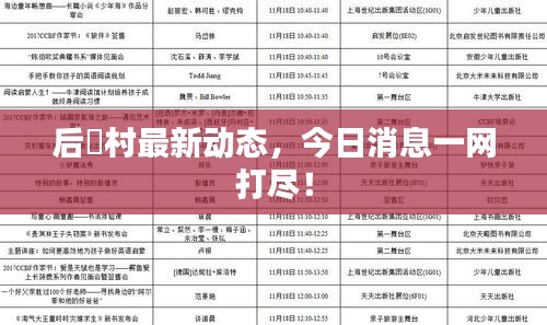 后滘村最新动态,今日消息一网打尽!