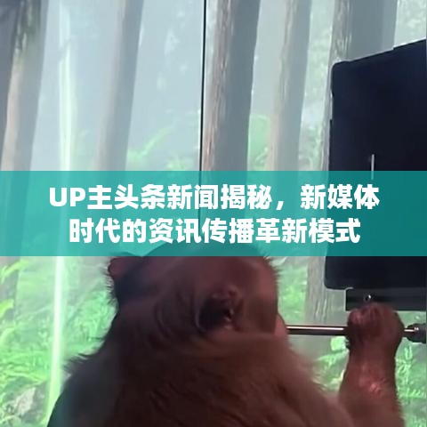 UP主头条新闻揭秘,新媒体时代的资讯传播革新模式