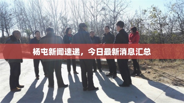 杨屯新闻速递,今日最新消息汇总