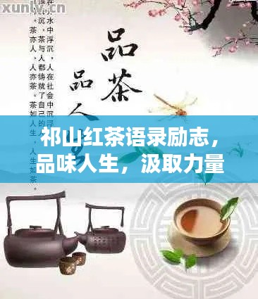 祁山红茶语录励志,品味人生,汲取力量!
