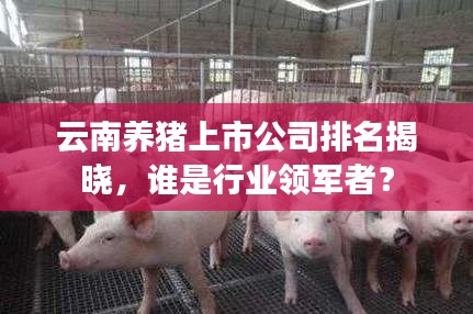 张口结舌 第4页