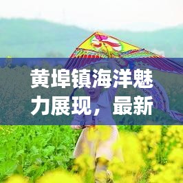 黄埠镇海洋魅力展现,最新视频引领蓝色经济风潮