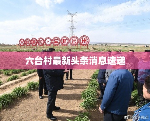 六台村最新头条消息速递