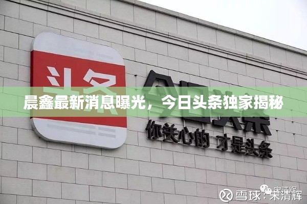 晨鑫最新消息曝光,今日头条独家揭秘
