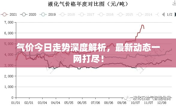 气价今日走势深度解析,最新动态一网打尽!