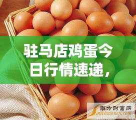驻马店鸡蛋今日行情速递，最新价格一览