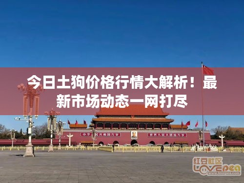 今日土狗价格行情大解析!最新市场动态一网打尽