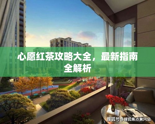 心愿红茶攻略大全，最新指南全解析