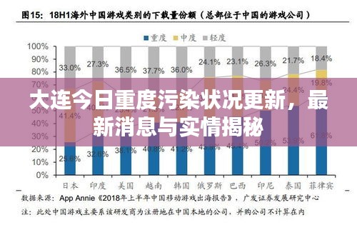 大连今日重度污染状况更新,最新消息与实情揭秘