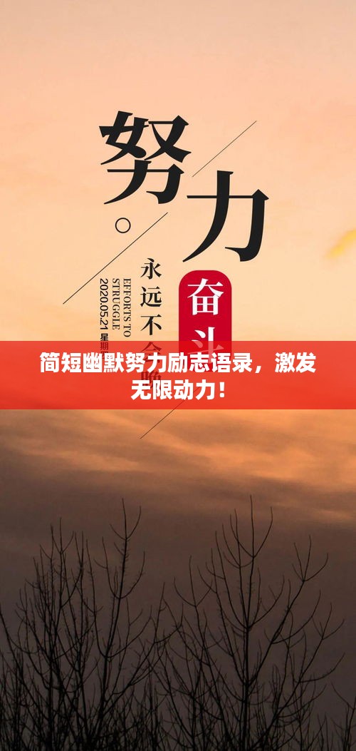 逆风飞扬 第5页