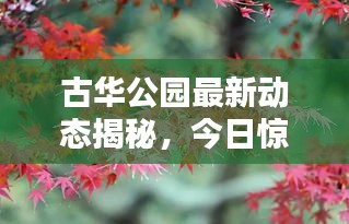 古华公园最新动态揭秘,今日惊喜连连,不容错过!