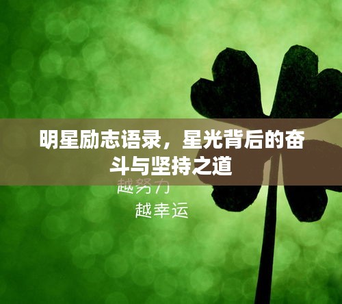 明星励志语录,星光背后的奋斗与坚持之道