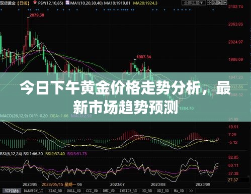 今日下午黄金价格走势分析，最新市场趋势预测