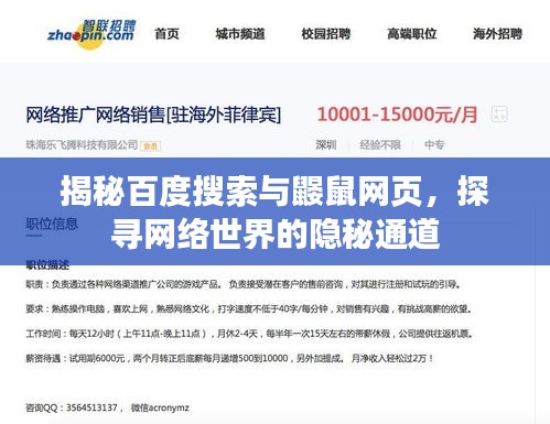 揭秘百度搜索与鼹鼠网页,探寻网络世界的隐秘通道