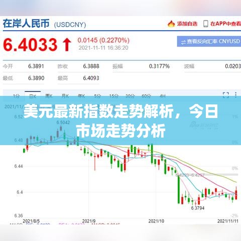 美元最新指数走势解析，今日市场走势分析