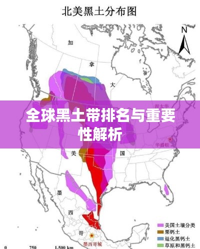 全球黑土带排名与重要性解析