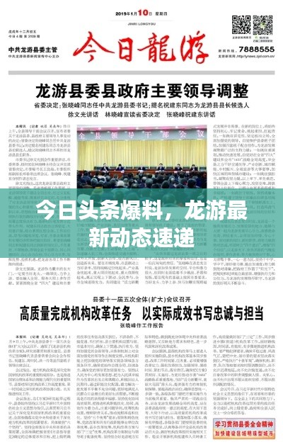 今日头条爆料,龙游最新动态速递