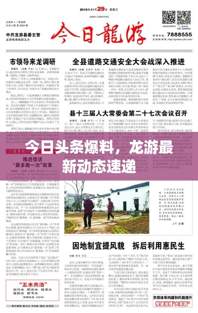 今日头条爆料,龙游最新动态速递