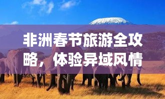 非洲春节旅游全攻略,体验异域风情的绝佳路线