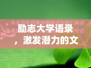 励志大学语录,激发潜力的文字箴言