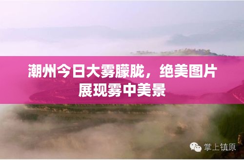 潮州今日大雾朦胧,绝美图片展现雾中美景