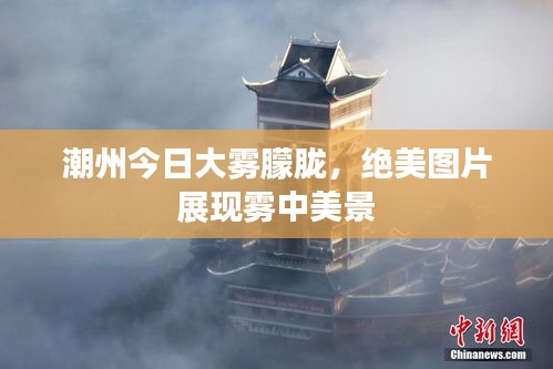 潮州今日大雾朦胧,绝美图片展现雾中美景