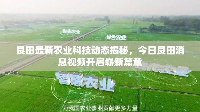 良田最新农业科技动态揭秘,今日良田消息视频开启崭新篇章