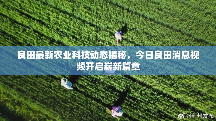 良田最新农业科技动态揭秘,今日良田消息视频开启崭新篇章