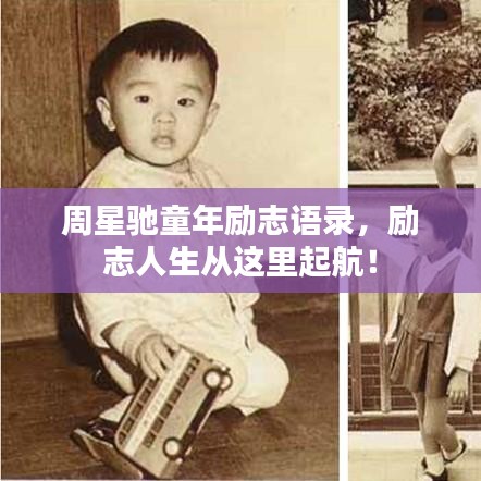 惊弓之鸟 第3页