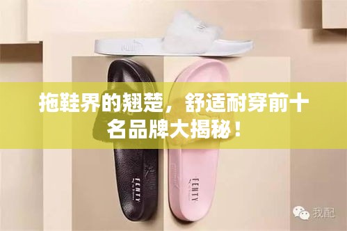 拖鞋界的翘楚,舒适耐穿前十名品牌大揭秘!