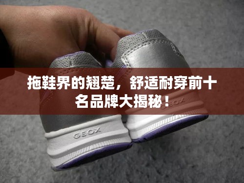 拖鞋界的翘楚,舒适耐穿前十名品牌大揭秘!