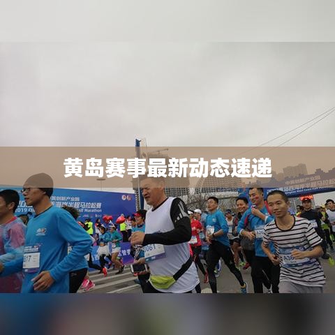 黄岛赛事最新动态速递
