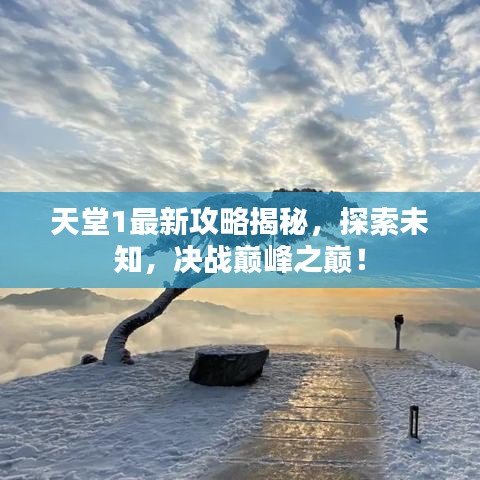 天堂1最新攻略揭秘，探索未知，决战巅峰之巅！