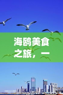 海鸥美食之旅,一份独特的喂海鸥旅游攻略