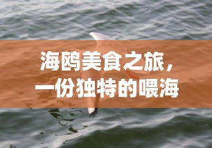 海鸥美食之旅,一份独特的喂海鸥旅游攻略