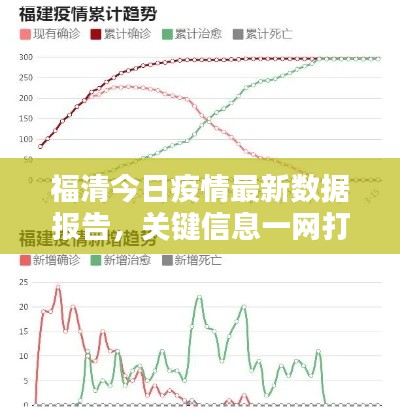 福清今日疫情最新数据报告,关键信息一网打尽