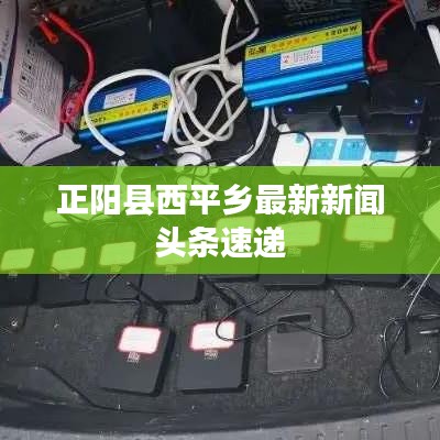 正阳县西平乡最新新闻头条速递