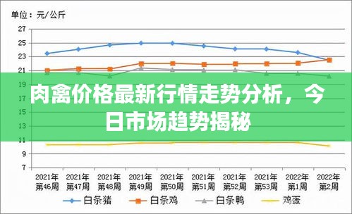 肉禽价格最新行情走势分析，今日市场趋势揭秘