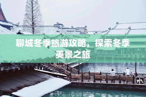 聊城冬季旅游攻略，探索冬季美景之旅