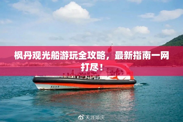 坚持不懈 第4页