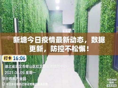 新塘今日疫情最新动态,数据更新,防控不松懈!